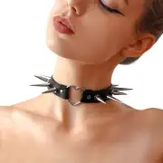 Кляпы, ошейники металл