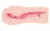 Мастурбатор-вагина двухслойный Kokos Sanda Double Layer photo 4